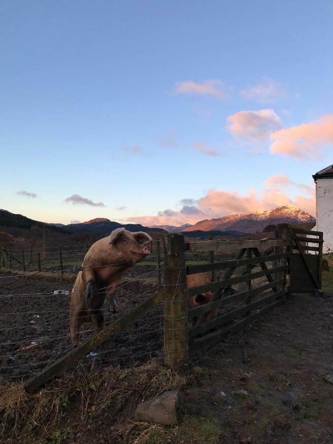 Garrison Of Inversnaid Farm With Hot Tub Bed & Breakfast Exterior photo