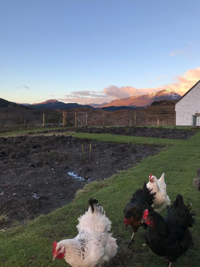 Garrison Of Inversnaid Farm With Hot Tub Bed & Breakfast Exterior photo